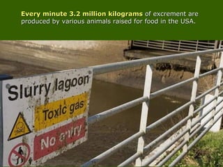 Every minute 3.2 million kilogramsEvery minute 3.2 million kilograms of excrement areof excrement are
produced by various animals raised for food in the USA.produced by various animals raised for food in the USA.
 