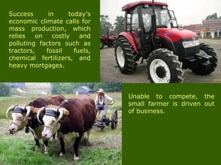 Success in today’s
economic climate calls for
mass production, which
relies on costly and
polluting factors such as
tractors, fossil fuels,
chemical fertilizers, and
heavy mortgages.
Unable to compete, the
small farmer is driven out
of business.
 