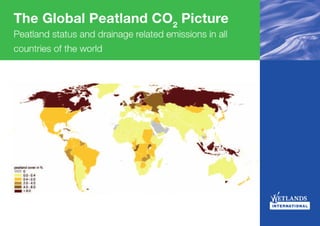 The Global Peatland CO2 Picture - Peatland Status and Drainage Related Emissions in all Countries of the World