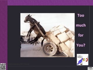 Dr.Angelica Laurençon, ESC Clermont   13.12.2012
 