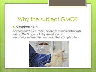 Why the subject GMO?
A   topical issue
 September 2012 : French scientists revealed that rats
fed on GMO corn sold by American firm
Monsanto, suffered tumors and other complications.
 