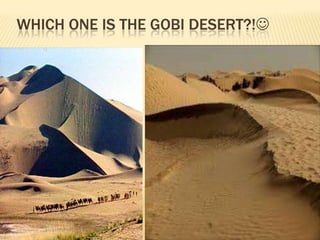 WHICH ONE IS THE GOBI DESERT?!

 