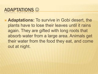 ADAPTATIONS 


Adaptations: To survive in Gobi desert, the
plants have to lose their leaves until it rains
again. They are gifted with long roots that
absorb water from a large area. Animals get
their water from the food they eat, and come
out at night.

 