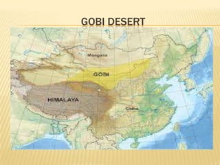 GOBI DESERT

 