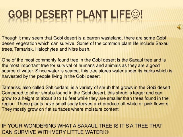 Natural Resources In The Gobi Desert Natural Resources In The Gobi Desert