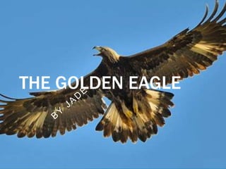 THE GOLDEN EAGLE
 