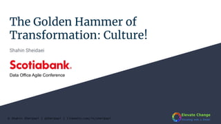 © Shahin Sheidaei | @sheidaei | linkedin.com/in/sheidaei
The Golden Hammer of
Transformation: Culture!
Shahin Sheidaei
Data Office Agile Conference
 