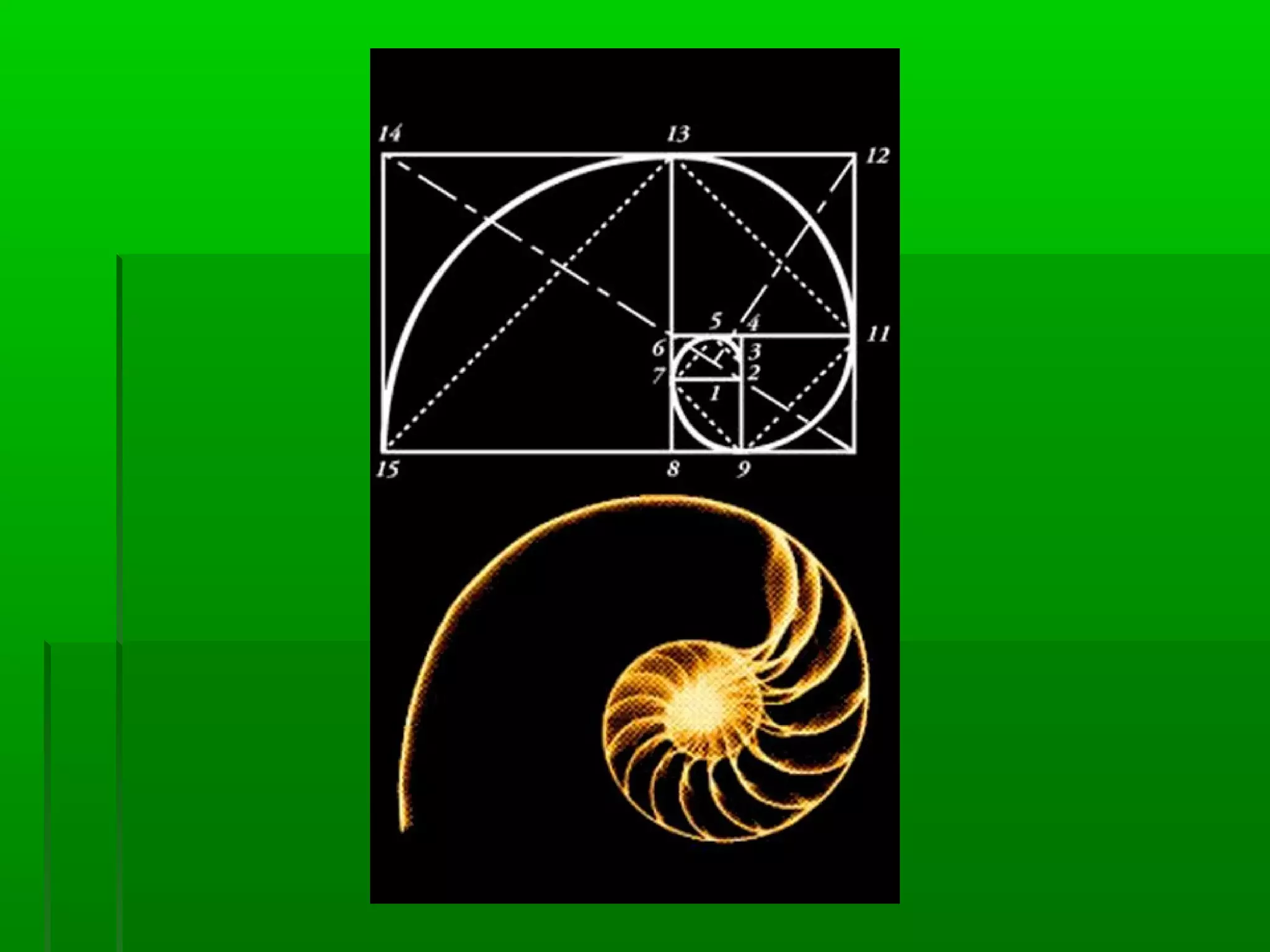 The Golden Ratio | PPT