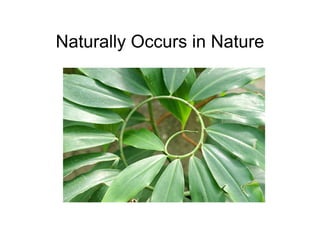 Naturally Occurs in Nature