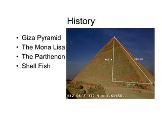 History
• Giza Pyramid
• The Mona Lisa
• The Parthenon
• Shell Fish