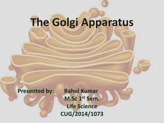 The Golgi Apparatus
Presented by: Rahul Kumar
M.Sc 1st Sem.
Life Science
CUG/2014/1073
 