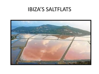 IBIZA’S SALTFLATS
 