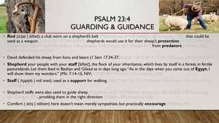 The Good Shepherd (Part I) | Psalm 23 Bible Study | PDF