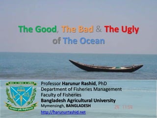 The Good, The Bad & The Ugly
of The Ocean
Professor Harunur Rashid, PhD
Department of Fisheries Management
Faculty of Fisheries
Bangladesh Agricultural University
Mymensingh, BANGLADESH
http://harunurrashid.net
 