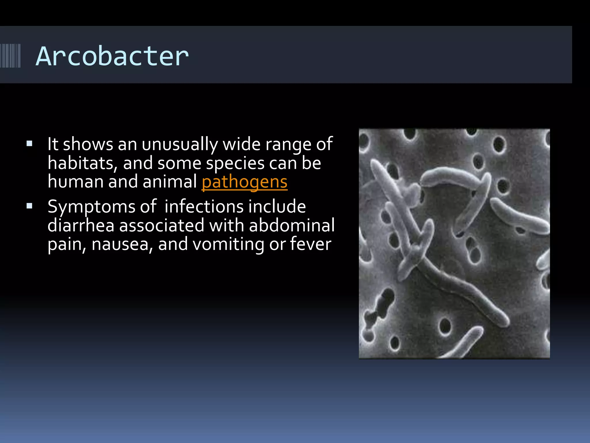 Arcobacter
 It shows an unusually wide range of
habitats, and some species can be
human and animal pathogens
 Symptoms of infections include
diarrhea associated with abdominal
pain, nausea, and vomiting or fever
 