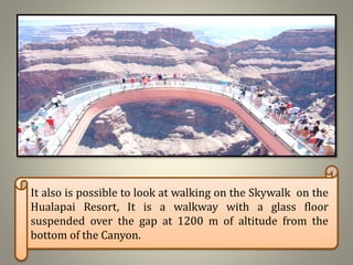 It also is possible to look at walking on the Skywalk on the
Hualapai Resort, It is a walkway with a glass floor
suspended over the gap at 1200 m of altitude from the
bottom of the Canyon.
 