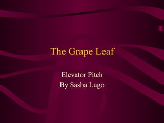 The Grape Leaf Elevator Pitch By Sasha Lugo 
