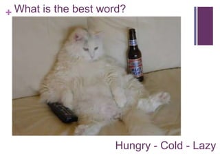 + What is the best word?
Hungry - Cold - Lazy
 