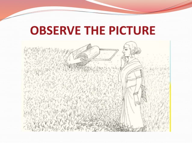 View of The grass is really like me- Poem | PPTX | Gardening | Home & Garden