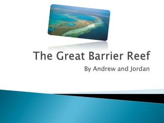 The Great Barrier Reef By Andrew and Jordan 