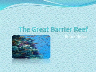 The Great Barrier Reef By Jack Hedges 