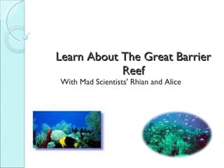 Learn About The Great Barrier Reef With Mad Scientists' Rhian and Alice 