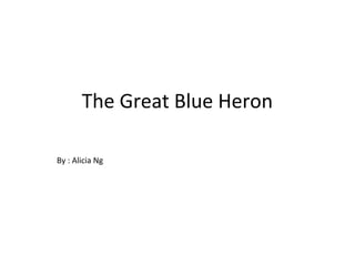 The Great Blue Heron
By : Alicia Ng
 