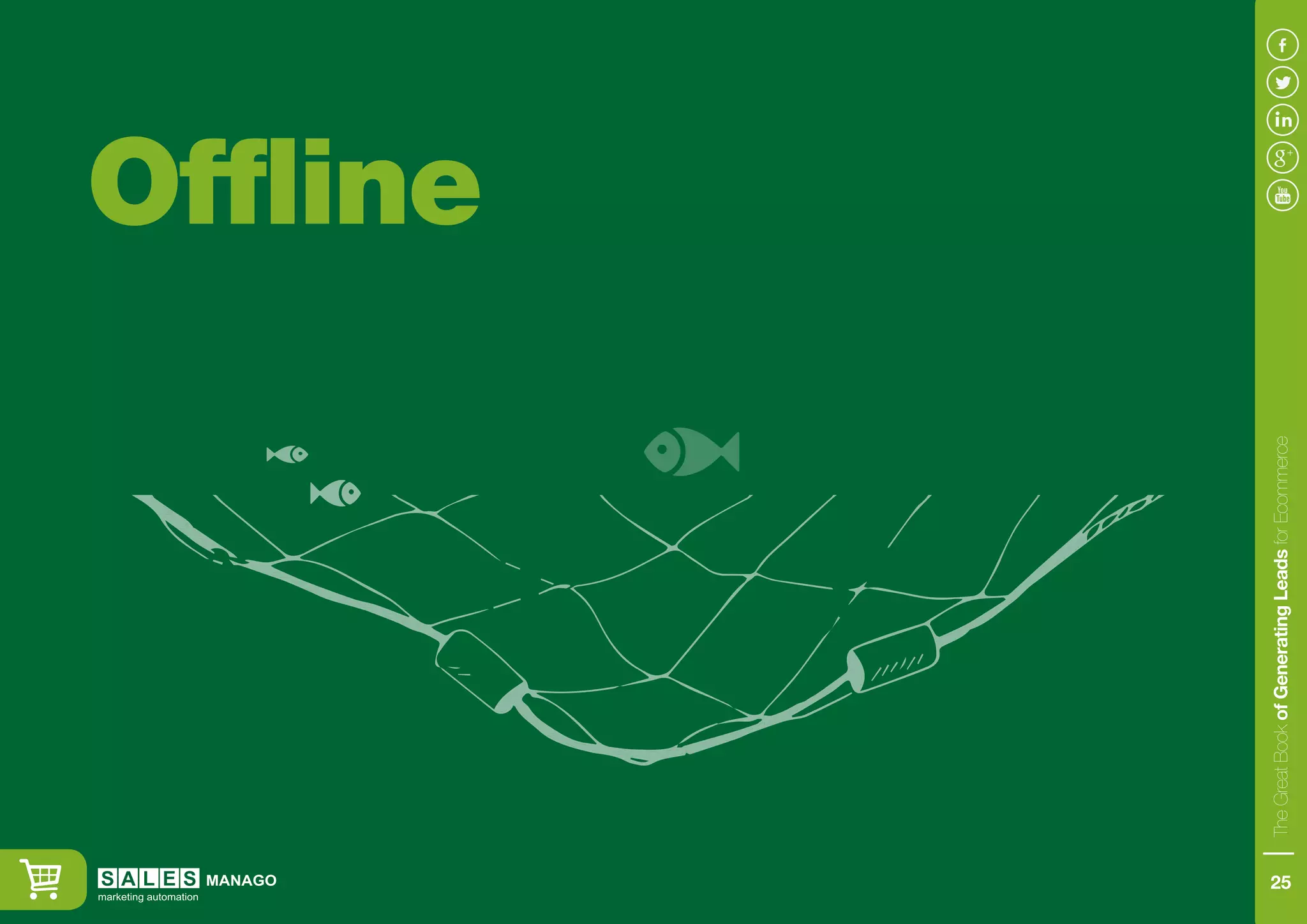 Offline
TheGreatBookofGeneratingLeadsforEcommerce
25
 