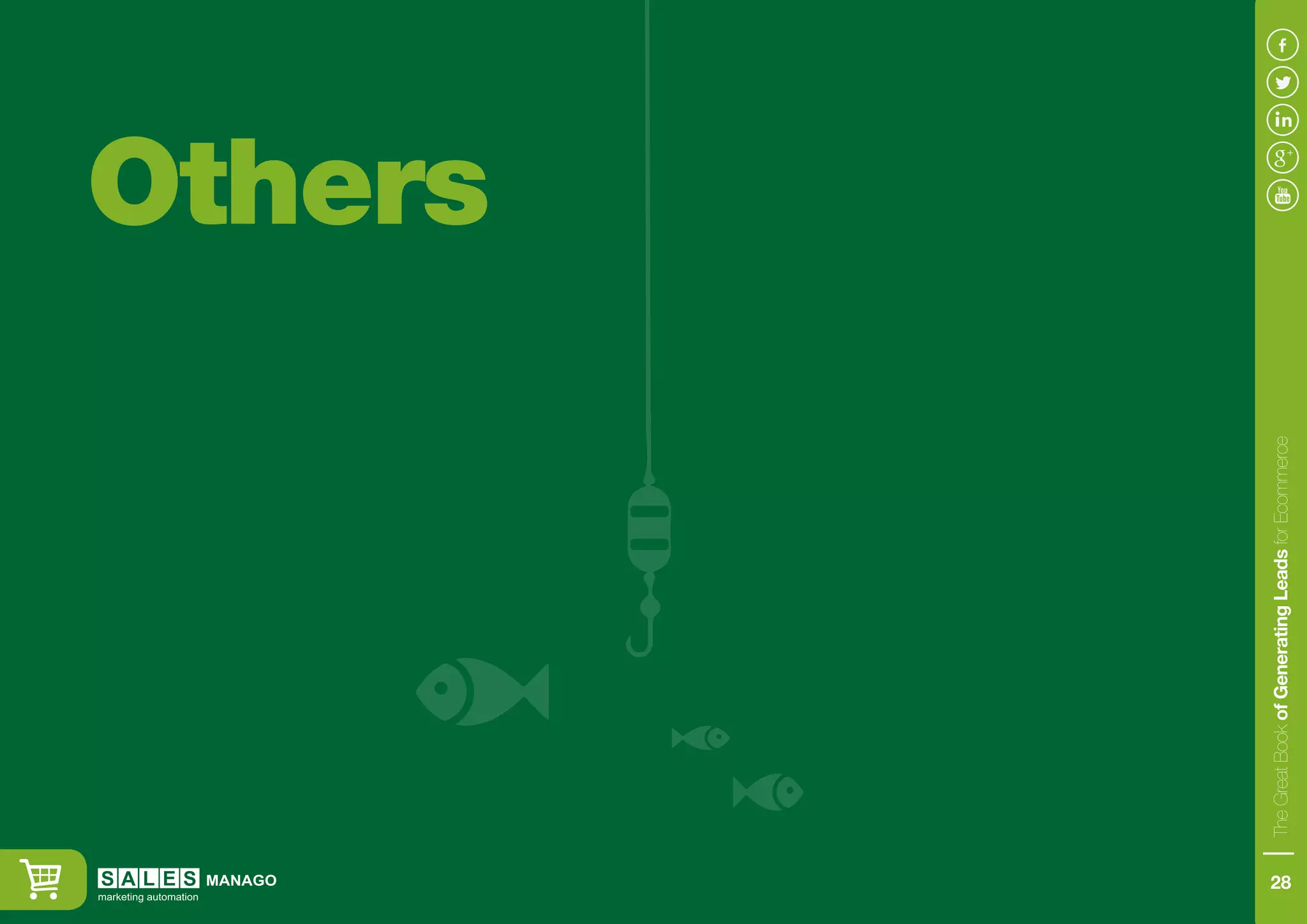 Others
TheGreatBookofGeneratingLeadsforEcommerce
28
 