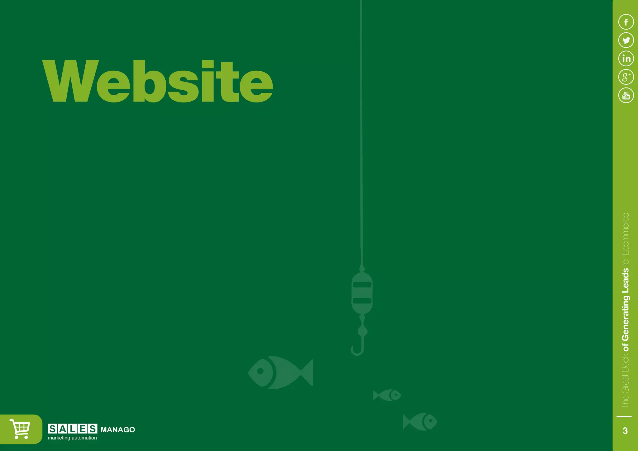 Website						
TheGreatBookofGeneratingLeadsforEcommerce
3
 