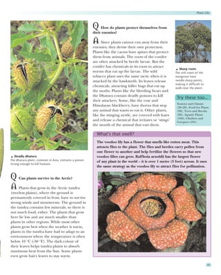 Plant Life



                                                       Q How do plants protect themselves from
                                                       their enemies?

                                                       A Since plants cannot run away from their
                                                       enemies, they devise their own protection.
                                                       Plants like the cactus have spines that protect
                                                       them from animals. The roots of the conifer
                                                       are often attacked by beetle larvae. But the
                                                       conifer has chemicals in its roots to attract
                                                                                                             Sharp roots
                                                       worms that eat up the larvae. The wild              The stilt roots of the
                                                       tobacco plant uses the same tactic when it is       mangrove have
                                                       attacked by the hawkmoth. Its leaves release        needle-sharp points,
                                                                                                           making it difficult to
                                                       chemicals, attracting killer bugs that eat up       walk near the plant.
                                                       the moths. Plants like the bleeding heart and
                                                       the Dhatura contain deadly poisons to kill
                                                                                                            Try these too…
                                                       their attackers. Some, like the rose and
                                                                                                            Seasons and Climate
                                                       Himalayan blackberry, have thorns that stop          (28–29), Food for Plants
                                                       any animal that wants to eat it. Other plants,       (98), Trees and Shrubs
                                                       like the stinging nettle, are covered with hairs     (99), Aquatic Plants
                                                                                                            (100), Climbers and
                                                       and release a chemical that irritates or ‘stings’    Creepers (101)
                                                       the mouth of the animal that eats them.

                                                         What’s that smell?
                                                         The voodoo lily has a flower that smells like rotten meat. This
                                                         attracts flies to the plant. The flies and beetles carry pollen from
                                                         one flower to another and help fertilize the flowers so that new
   Deadly dhatura                                        voodoo lilies can grow. Rafflesia arnoldii has the largest flower
The dhatura plant, common in Asia, contains a poison     of any plant in the world – it is over 1 metre (3 feet) across. It uses
strong enough to kill humans.
                                                         the same strategy as the voodoo lily to attract flies for pollination.


Q Can plants survive in the Arctic?
A Plants that grow in the Arctic tundra
(treeless plains), where the ground is
permanently covered in frost, have to survive
strong winds and snowstorms. The ground in
the tundra contains few minerals, so there is
not much food, either. The plants that grow
here lie low and are much smaller than
plants in other regions. While most other
plants grow best when the weather is warm,
plants in the tundra have had to adapt to an
environment where the temperature is often
below 10 °C (-50 °F). The dark colour of
their leaves helps tundra plants to absorb
maximum heat from the Sun. Some plants
even grow hairy leaves to stay warm.

                                                                                                                                    97
 