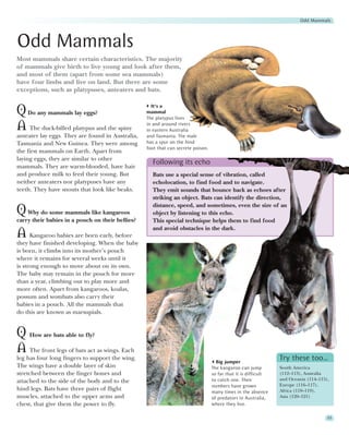 Odd Mammals




Odd Mammals
Most mammals share certain characteristics. The majority
of mammals give birth to live young and look after them,
and most of them (apart from some sea mammals)
have four limbs and live on land. But there are some
exceptions, such as platypuses, anteaters and bats.

                                                    It’s a
Q Do any mammals lay eggs?                        mammal
                                                  The platypus lives

A The duck-billed platypus and the spiny          in and around rivers
                                                  in eastern Australia
anteater lay eggs. They are found in Australia,   and Tasmania. The male
Tasmania and New Guinea. They were among          has a spur on the hind
                                                  foot that can secrete poison.
the first mammals on Earth. Apart from
laying eggs, they are similar to other
                                                    Following its echo
mammals. They are warm-blooded, have hair
and produce milk to feed their young. But           Bats use a special sense of vibration, called
neither anteaters nor platypuses have any           echolocation, to find food and to navigate.
teeth. They have snouts that look like beaks.       They emit sounds that bounce back as echoes after
                                                    striking an object. Bats can identify the direction,
                                                    distance, speed, and sometimes, even the size of an
Q Why do some mammals like kangaroos                object by listening to this echo.
carry their babies in a pouch on their bellies?     This special technique helps them to find food
                                                    and avoid obstacles in the dark.
A Kangaroo babies are born early, before
they have finished developing. When the baby
is born, it climbs into its mother’s pouch
where it remains for several weeks until it
is strong enough to move about on its own.
The baby may remain in the pouch for more
than a year, climbing out to play more and
more often. Apart from kangaroos, koalas,
possum and wombats also carry their
babies in a pouch. All the mammals that
do this are known as marsupials.


Q How are bats able to fly?
A The front legs of bats act as wings. Each
leg has four long fingers to support the wing.
                                                                                    Big jumper
                                                                                                                Try these too…
The wings have a double layer of skin                                             The kangaroo can jump         South America
stretched between the finger bones and                                            so far that it is difficult   (112–113), Australia
attached to the side of the body and to the                                       to catch one. Their           and Oceania (114–115),
                                                                                  numbers have grown            Europe (116–117),
hind legs. Bats have three pairs of flight                                                                      Africa (118–119),
                                                                                  many times in the absence
muscles, attached to the upper arms and                                           of predators in Australia,    Asia (120–121)
chest, that give them the power to fly.                                           where they live.

                                                                                                                                     55
 