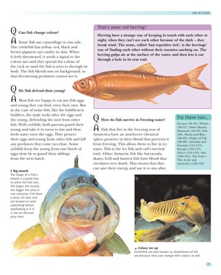 Life of a Fish



                                                     That’s some red herring!
Q Can fish change colour?                            Herring have a strange way of keeping in touch with each other at
A Some fish use camouflage to stay safe.             night, when they can’t see each other because of the dark – they
                                                     break wind. The noise, called ‘fast repetitive tick’, is the herrings’
The cuttlefish has yellow, red, black and
                                                     way of finding each other without their enemies catching on. The
brown pigment sacs under its skin. When
                                                     herring gulps air at the surface of the water, and then lets it out
it feels threatened, it sends a signal to the
                                                     through a hole in its rear end.
colour sacs and they spread the colour of
the rock or sand the fish is next to through its
body. The fish blends into its background, so
that threatening predators cannot see it.


Q Do fish defend their young?
A Most fish are happy to eat any fish eggs
and young they can find, even their own. But
in the case of some fish, like the bubblenest
builders, the male looks after the eggs and
the young, defending the nest from other           Q How do fish survive in freezing water?                Try these too…
                                                                                                           Oceans (34–35), Whales
fish. With cichlids, both parents guard their
young and take it in turns to fan and blow         A Fish that live in the freezing seas of                (56–57), Other Marine
                                                                                                           Mammals (58–59), Fish
fresh water onto the eggs. They protect            Antarctica have an anti-freeze chemical                 (66), Sharks and Rays
their eggs and young from other fish and kill      (glyco protein) in their blood that prevents it         (68–69), Origin of Life
                                                                                                           (88–89), Australia and
any predators that come too close. Some            from freezing. This allows them to live in icy          Oceania (114–115),
cichlids keep the young from one batch of          water. This is the ice fish and cod’s survival          Europe (116–117),
eggs close by to guard their siblings              trick. Other Antarctic fish like barracuda,             Africa (118–119), Asia
                                                                                                           (120–121), The Poles –
from the next batch.                               skates, krill and lantern fish have blood that          The Arctic and
                                                   circulates very slowly. This means that they            Antarctica (122–123)
                                                   can save their energy and use it to stay alive.
   Big mouth
The shape of a fish’s
mouth is a good clue
to what the fish eats.
The larger the mouth,
the bigger the prey it
can consume. Fish have
a sense of taste and
are known to taste
something before
swallowing it if it
is not an obvious
prey item.




                                                                               Colour me up
                                                                            Cuttlefish are also known as chameleons of the
                                                                            sea because they can change their colour at will.

                                                                                                                                  71
 