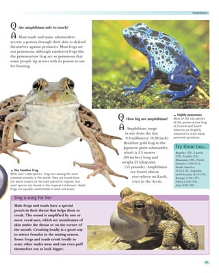 Amphibians



Q Are amphibians safe to touch?
A Most toads and some salamanders
secrete a poison through their skin to defend
themselves against predators. Most frogs are
not poisonous, although rainforest frogs like
the poison-arrow frog are so poisonous that
some people tip arrows with its poison to use
for hunting.




                                                                                                 Highly poisonous
                                                            Q How big are amphibians?         Most of the 220 species
                                                                                              of the poison-arrow frog

                                                            A Amphibians range                of Central and South
                                                                                              America are brightly
                                                                in size from the tiny         coloured to scare away
                                                                 9.8 millimetre (0.38 inch)   potential predators.
                                                               Brazilian gold frog to the
                                                               Japanese giant salamander,      Try these too…
                                                               which is 1.5 metres             Reptiles (72), Lizards
                                                              (60 inches) long and             (73), Turtles (74),
                                                                                               Dinosaurs (90), North
                                                              weighs 25 kilograms              America (110–111),
                                                                (55 pounds). Amphibians        South America
   The familiar frog                                                                           (112–113), Australia
                                                                    are found almost
With over 5,000 species, frogs are among the most                                              and Oceania (114–115),
common animals in the world. They are found from                     everywhere on Earth,      Europe (116–117),
the warm tropics to the cold sub-arctic regions, but                 even in the Arctic.       Africa (118–119),
most species are found in the tropical rainforests. Adult                                      Asia (120–121)
frogs are equally comfortable in land and water.

  Sing a song for her
  Male frogs and toads have a special
  pouch in their throat that helps them to
  croak. The sound is amplified by one or
  more vocal sacs, which are membranes of
  skin under the throat or on the corner of
  the mouth. Croaking loudly is a good way
  to attract females in the mating season.
  Some frogs and toads croak loudly to
  scare other males away and can even puff
  themselves out to look bigger.


                                                                                                                     83
 