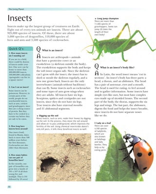 The Living Planet



Insects                                                                                       Long jump champion
                                                                                           There are more than
                                                                                           11,000 species of
Insects make up the largest group of creatures on Earth.                                   grasshoppers. Some can
Eight out of every ten animals are insects. There are about                                jump 20 times the
                                                                                           length of their
925,000 species of insects. Of these, there are about                                      own body!
5,000 species of dragonflies, 110,000 species of
bees and ants and 3,500 species of cockroaches.


 Quick Q’s:
 1. How many insects
                             Q What is an insect?
 am I standing on?
 If you are in a field,
                             A Insects are arthropods – animals
 there could be dozens
                             that have a protective cover or an
 of insects under your       exoskeleton (a skeleton outside the body).
 feet. One acre can be
 home to more than
                             The exoskeleton supports the body and keeps                   Q What is an insect’s body like?
                             the soft inner organs safe. Since the skeleton
 400,000,000 insects.
 100,000,000 collembola
 (springtails) can live in
                             can’t grow with the insect, the insect has to                 A In Latin, the word insect means ‘cut in
                             shed or moult the skeleton regularly, and a                   sections’. An insect’s body has three parts: a
 a square metre!
                             new one grows back. Insects are the only                      head, a thorax, and an abdomen. The head
                             invertebrates (animals without backbone)                      has a pair of antennae, eyes and a mouth.
 2. Can I eat an insect?
                             that can fly. Some insects such as cockroaches                The head is used for eating, to feel around
 Some insects can be         and some types of ants grow wings when                        and to gather information. Some insects have
 poisonous. However, in
 certain parts of the        they are adults. All insects have six legs.                   simple eyes like ours, but most have complex
 world, people do eat        Scorpions, spiders and centipedes are not                     eyes made up of six-sided lenses. The second
 non-harmful insects,        insects, since they do not have six legs.                     part of the body, the thorax, supports the six
 such as ants, crickets
 and grasshoppers, since     True insects also have external mouths                        legs and wings. The last part, the abdomen,
 they are a cheap source     and 11 abdominal segments.                                    digests the food and helps the insect breathe,
 of protein. But they                                                                      since insects do not have separate noses
 have to be cooked in a
 certain way before they        Digging up the soil                                        like we do.
 are safe to be eaten.       Many insects, such as ants, make their homes by digging
                             up the soil. In the process, they move the soil around
                             and allow air to pass underground, which improves the           Lady on a leaf
 3. How long have            fertility of the soil. Using chemical insecticides doesn’t    There are over
 insects been around?        only kill pests, it kills these beneficial insects as well.   4,500 species
                                                                                           of ladybirds,
 One insect fossil,
 found in Russia, dates                                                                    which are
 back to more than 100                                                                     also known
 million years before                                                                      as ladybugs
 the first dinosaurs.                                                                      and lady
 Cockroaches are also                                                                      beetles. They
 older than dinosaurs.                                                                     help us by
                                                                                           eating pests.

 4. How many babies
 can one pair of
 houseflies have?
 In five months, one
 pair of houseflies can
 grow into a family of
 191 x 1018 if all their
 young live and
 multiply. That is 191
 followed by 18 zeros!


84
 
