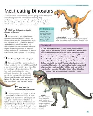 Meat-eating Dinosaurs




Meat-eating Dinosaurs
All carnivorous dinosaurs fell into the group called Theropods.
Some theropods were omnivorous, meaning they
ate both meat and plants. The theropods walked upright on
their hind legs and had short front limbs with sharp claws.
Of all the theropods, tyrannosaurus rex is the most famous.


Q Which was the largest meat-eating               Try these too…
                                                  Dinosaurs (90),
dinosaur we know of?                              Armoured Dinosaurs
                                                  (91), North America
A Theropods were not as large as their            (110–111), South
                                                  America (112–113),            Deadly claws
plant-eating cousins. However, some, like         Africa (118–119),          Velociraptors had a sharp, hook-shaped claw on each
tyrannosaurus rex and giganotosaurus, grew        Asia (120–121)             foot. This claw was drawn into the toe when not in use.
to a length of about 12.5 metres (41 feet).
Scientists have recently discovered the
                                                   Pricey fossil
remains of what is now considered to be the
largest meat-eating dinosaur to have ever          In 1990, Susan Hendrickson, a fossil hunter, discovered the
lived – mapusaurus. This dinosaur is believed      largest fossil of a T-rex near Faith in South Dakota, United States.
to have been over 13 metres (42 feet) long.        The fossil was named ‘Sue’ after the person who discovered it.
                                                   Soon after its discovery, Sue was at the centre of a legal battle.
                                                   The bones were found on land that was owned by a private rancher.
Q Did T-rex really hunt down its prey?             The land was held in trust by the United States government. The
                                                   rancher claimed that the fossil belonged to him since he owned
A T-rex was built like a true predator. It         the land on which it was found. This started a dispute over the
walked upright on two powerful legs, and had       ownership of Sue. After a five-year-long legal battle, a judge ruled
a narrow snout that gave it a good view of its     in favour of the rancher, who later sold the fossil at a Sotheby’s
surroundings. Like most predators, T-rex              auction for a whopping 8.4 million dollars (about 4.6 million
had small eyes that faced forwards                         pounds) – the largest amount ever paid for a fossil.
giving the dinosaur a sharp view of its
prey. It also had a good sense of smell.
Despite these features, many scientists
believe that T-rex was mainly a scavenger
that hunted only when it was necessary.


               Q    What made the
               velociraptor a good hunter?

A Velociraptor grew to a height of about             Big bite!
1 metre (3 feet) and was 2 metres (6 feet)
                                                 T-rex had 60 razor-
long. Its small frame made velociraptor fast     sharp teeth that
and agile. This dinosaur could chase its         could grow up to
victims at speeds of about 60 kilometres per     23 centimetres (9 inches)
hour (40 miles per hour). Velociraptor may       long! Its huge jaws
                                                 could break the
also have hunted in groups, helping it to take   backbone of
down even the largest dinosaurs of the time.     its prey.

                                                                                                                                  93
 