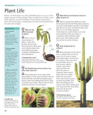 The Living Planet




Plant Life
Plants, of which there are about 350,000 species, are one of the                          Q What kind of environment is best for
biggest groups of living things. They include trees, shrubs, vines,                       plants to grow in?
ferns, grasses, mosses and lichen. Green plants can produce
their own food using a combination of water and nutrients from                            A      Different plants have different needs,
the soil, and sunlight.                                                                   but all plants need food. Most plants need soil,
                                                                                          air, water and sunlight to produce food. Plants
                                                                                          that grow in the water need lots of water and
 Quick Q’s:
 1. Do ferns have
                               Q What are the                               Leaf
                                                                                          little, or no soil. Plants that grow
 flowers?
                               different groups                                           in the desert are used to little or no water,
                               of plants?                                                 and would die if they were taken to
 A fern has neither
                                                                                          a rainforest. Moss and lichen that
 flowers nor seeds.
 Ferns grow from spores
 on the leaves that are
                               A    There are two                                         grow in the Arctic region would
                               major groups of                                            not survive in warmer climates.
 scattered by the wind.
 Each fern leaf can hold       plants – those that
 750,000 spores.               produce flowers and
                               those that don’t. Both types                  Stem
                                                                                          Q    How do plants live in
 2. Do some plants             can be broken down into                                    a desert?
                                                                                   Root
 eat insects?                  many different groups,
 The leaves of the venus
 flytrap snap shut when
                               including climbing plants                                  A Plants that grow in the desert
 an insect touches them.
                               and water plants.                                          have to adapt to the scarcity of
 The plant then digests                                                                   water. So, to conserve water,
 the trapped insect              Growing from a seed
                                                                                          desert plants like cacti have few
 slowly, using enzymes         A seed first sends out its roots
 from its leaves. It           underground, and then its stem above.                      or no leaves. They store water
 takes each leaf about         Leaves that grow on the stem produce food.                 in their fleshy stems. A
 ten days to digest                                                                       layer of wax, called a
 one insect.
                                                                                          cuticle, covers these

 3. What are stilt roots?
                               Q Do all plants grow from seeds, or are                    stems and does not
                               there other ways too?                                      allow the water to
 Mangroves, tropical                                                                      evaporate. Some desert
 plants that grow near
 the coast, are partly         A    Some plants grow from a part of the                   plants, like the ocotillo,
 covered by the sea            parent plant, or from spores on leaves that are            make the most of the
 water every time the          scattered by the wind. But most plants grow                short rainy season to grow
 tide flows in. To keep
 themselves above water,       flowers, which are pollinated by insects. Then             as much as possible, and
 they have stilt roots         a seed forms at its base. These seeds are then             then rest during the dry
 which prop them up.           scattered and grow into new plants.                        season. Some desert plants grow
 These roots can
 breathe through                                                                          very long roots that reach down
 special pores. Salt can                                                                  deep into the ground
 be dangerous to the                                                                      in search of water.
 plant, but the roots
 filter the salt out.
                                                                                            Slow-growing saguaro
                                                                                          The saguaro cactus can take up to
                                                                                          75 years to develop a side shoot.
   Deadly trap
Insects are attracted to
the bright colours in the
leaves of the venus
flytrap. Once they are
inside, the leaf snaps shut.

 96
 