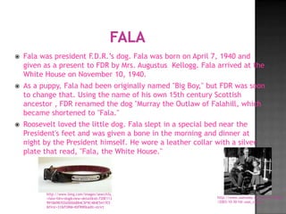    Fala was president F.D.R.’s dog. Fala was born on April 7, 1940 and
    given as a present to FDR by Mrs. Augustus Kellogg. Fala arrived at the
    White House on November 10, 1940.
   As a puppy, Fala had been originally named "Big Boy," but FDR was soon
    to change that. Using the name of his own 15th century Scottish
    ancestor , FDR renamed the dog "Murray the Outlaw of Falahill, which
    became shortened to "Fala."
   Roosevelt loved the little dog. Fala slept in a special bed near the
    President's feet and was given a bone in the morning and dinner at
    night by the President himself. He wore a leather collar with a silver
    plate that read, "Fala, the White House."




          http://www.bing.com/images/search?q
          =fala+fdrs+dog&view=detail&id=720E113               http://www.usatoday.com/news/nation
          991B69B70265D0A8B4C5F9C484E5417E5                   /2003-10-30-fdr-usat_x.htm
          &first=31&FORM=IDFRIR&adlt=strict
 