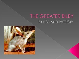 THE GREATER BILBY BY LISA AND PATRICIA 