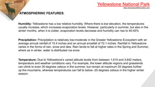 Yellowstone National Park
https://bckbiologysfifield.weebly.com/
ATMOSPHERINC FEATURES:
Humidity: Yellowstone has a low relative humidity. Where there is low elevation, the temperatures
usually increase, which increases evaporation levels. However, particularly in summer, but also in the
winter months, when it is colder, evaporation levels decrease and humidity can rise to 40-45%
Precipitation: Precipitation is relatively low-moderate in the Greater Yellowstone Ecosystem with an
average annual rainfall of 15.4 inches and an annual snowfall of 72.1 inches. Rainfall in Yellowstone
varies in the forms of rain, snow and dew. Rain tends to fall at higher rates in the Spring and Summer,
where as in winter, water is distributed via snow.
Temperature: Due to Yellowstone's varied altitude levels from between 1,610 and 3,642 meters,
temperature and weather conditions vary. For example, the lower altitude regions and grasslands
can climb to even 30 degrees celsius in the summer, but remain at maximum 25 degrees further
up the mountains, whereas temperatures can fall to below -20 degrees celsius in the higher winter
season.
 