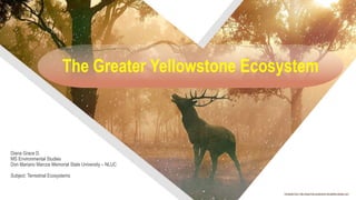 Diana Grace D.
MS Environmental Studies
Don Mariano Marcos Memorial State University – NLUC
Subject: Terrestrial Ecosystems
The Greater Yellowstone Ecosystem
Template from: http://www.free-powerpoint-templates-design.com
 