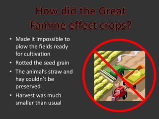 How did the GreatFamine effect crops?Made it impossible to plow the fields ready for cultivationRotted the seed grainThe animal’s straw and hay couldn’t be preservedHarvest was much smaller than usual
