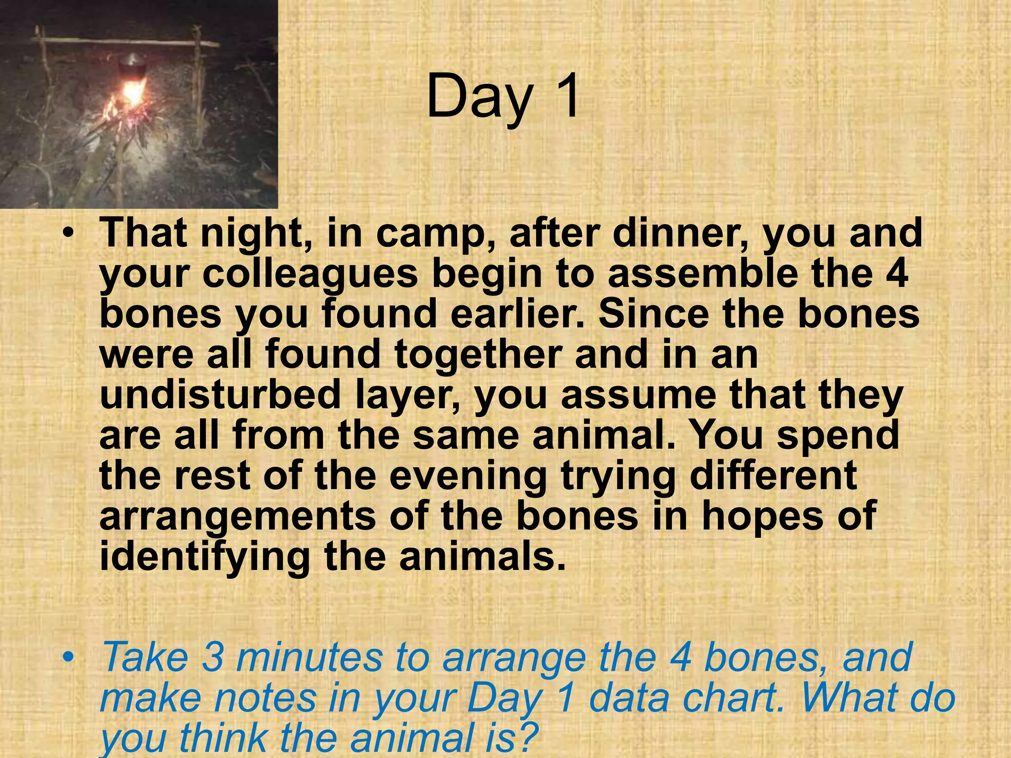 Day 1
• That night, in camp, after dinner, you and
your colleagues begin to assemble the 4
bones you found earlier. Since the bones
were all found together and in an
undisturbed layer, you assume that they
are all from the same animal. You spend
the rest of the evening trying different
arrangements of the bones in hopes of
identifying the animals.
• Take 3 minutes to arrange the 4 bones, and
make notes in your Day 1 data chart. What do
you think the animal is?
 