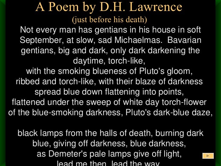 Bavarian gentians analysis image