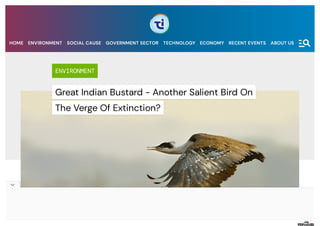 ENVIRONMENT
Great Indian Bustard - Another Salient Bird On
The Verge Of Extinction?
HOME ENVIRONMENT SOCIAL CAUSE GOVERNMENT SECTOR TECHNOLOGY ECONOMY RECENT EVENTS ABOUT US
 