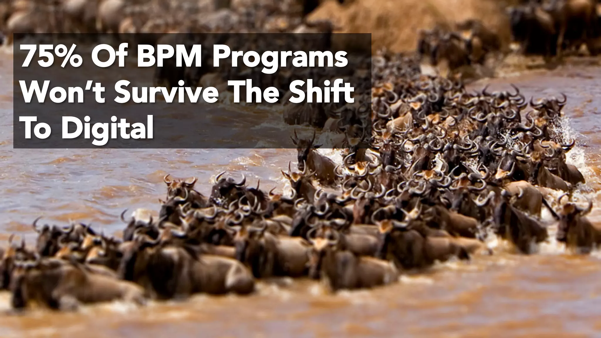 © 2017 Digital Fast Forward, LLC
75% Of BPM Programs
Won’t Survive The Shift
To Digital
 