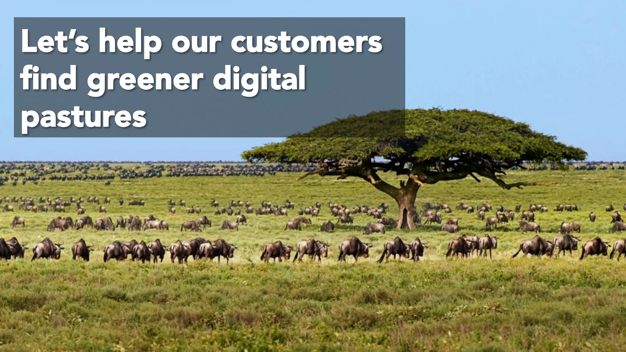 © 2017 Digital Fast Forward, LLC
Let’s help our customers
ﬁnd greener digital
pastures
 