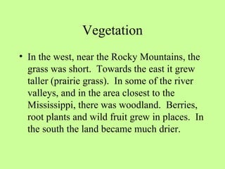 Vegetation In the west, near the Rocky Mountains, the grass was short.  Towards the east it grew taller (prairie grass).  In some of the river valleys, and in the area closest to the Mississippi, there was woodland.  Berries, root plants and wild fruit grew in places.  In the south the land became much drier. 