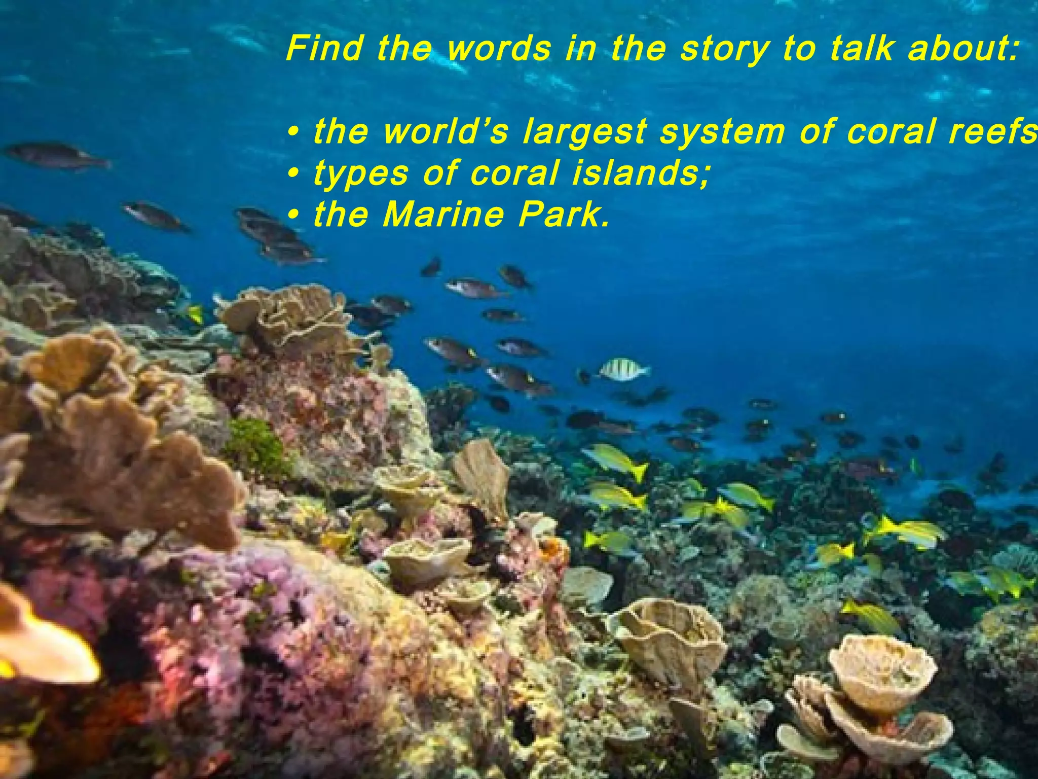 Find the words in the story to talk about:
• the world’s largest system of coral reefs
• types of coral islands;
• the Marine Park.
 