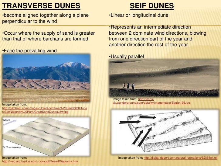 The great sand dunes